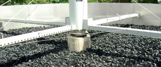 Biofiltros