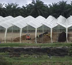 produccion-compost