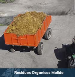 residuos-organicos-molidos