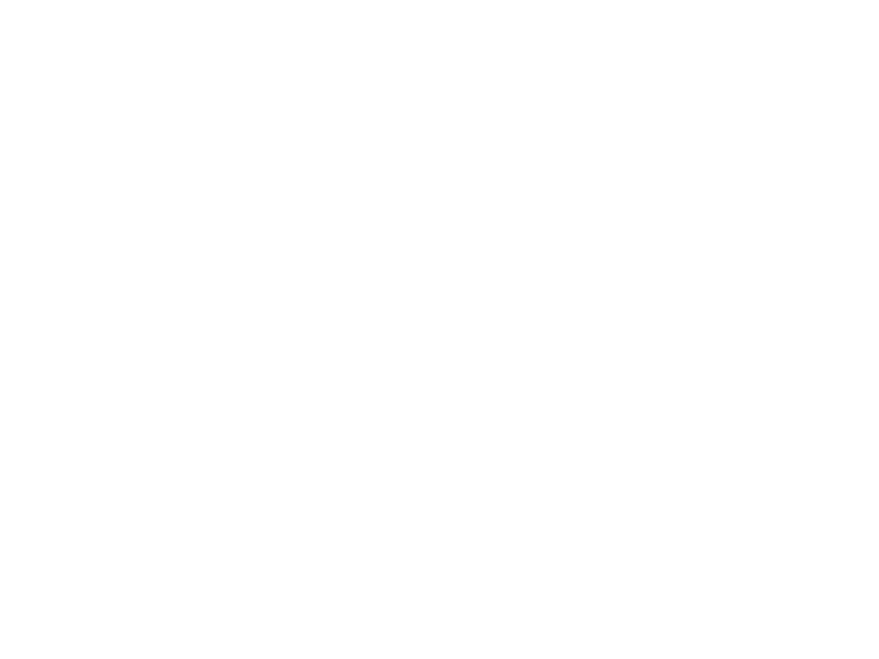 logo-protonusacorp