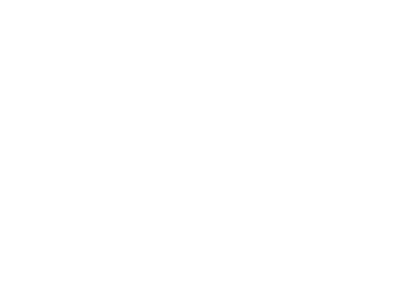 logo-protonusacorp