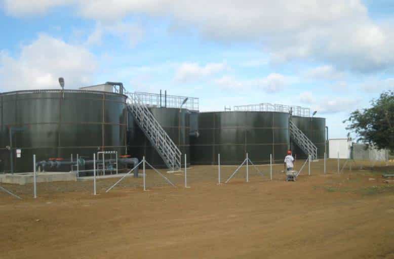 plantasdeagua1