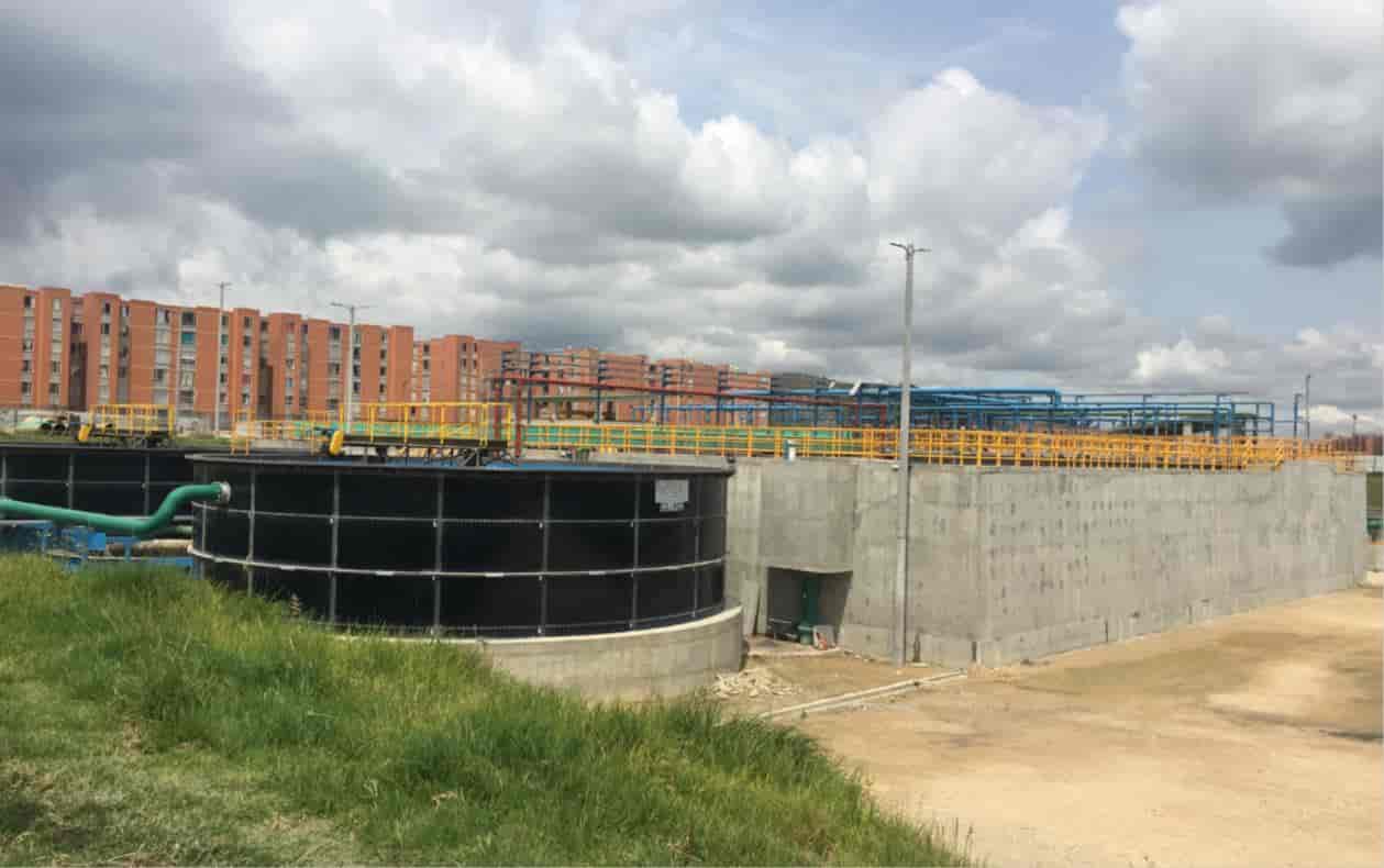plantasdeagua3